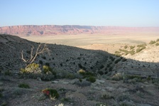 Enlarge photo 496