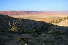 Enlarge photo 497