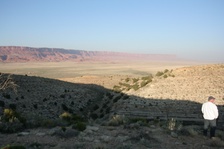 Enlarge photo 498