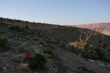 Enlarge photo 499