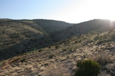 Enlarge photo 503