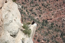 Enlarge photo 104