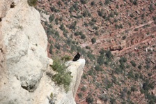 Enlarge photo 100