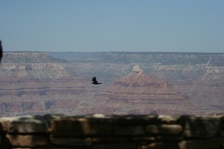 Enlarge photo 113