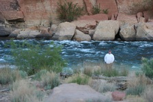 Enlarge photo 545