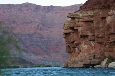 Enlarge photo 550