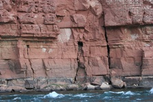 Enlarge photo 556