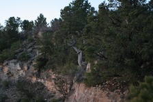 Enlarge photo 31