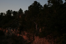 Enlarge photo 35