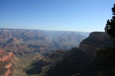 Enlarge photo 261