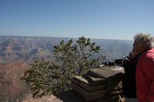 Enlarge photo 45