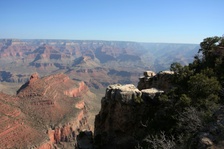 Enlarge photo 262