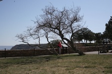 Enlarge photo 118
