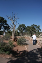 Enlarge photo 119