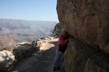 Enlarge photo 130