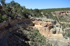 Enlarge photo 133