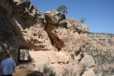 Enlarge photo 142
