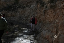 Enlarge photo 143