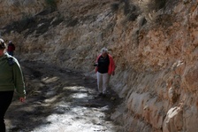 Enlarge photo 134