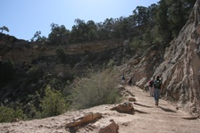 Enlarge photo 149
