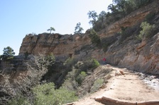 Enlarge photo 150