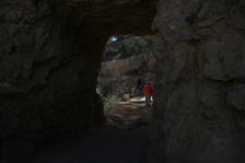 Enlarge photo 152