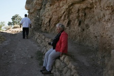 Enlarge photo 135