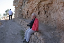 Enlarge photo 153
