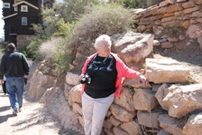 Enlarge photo 154