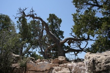Enlarge photo 162