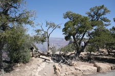 Enlarge photo 165