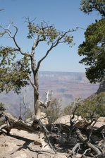 Enlarge photo 166