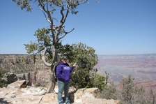 Enlarge photo 167