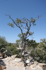 Enlarge photo 168