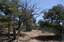 Enlarge photo 169