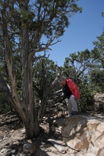 Enlarge photo 41