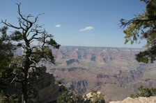 Enlarge photo 175
