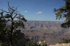 Enlarge photo 265