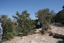 Enlarge photo 179