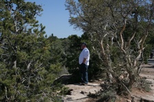 Enlarge photo 180