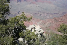 Enlarge photo 181