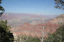Enlarge photo 182