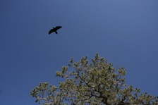 Enlarge photo 184