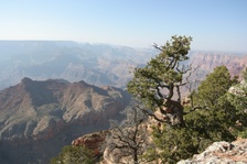 Enlarge photo 216