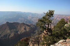 Enlarge photo 267