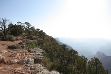 Enlarge photo 221