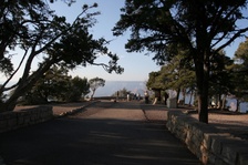Enlarge photo 228