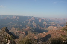 Enlarge photo 230