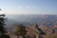 Enlarge photo 232