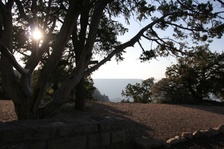 Enlarge photo 235